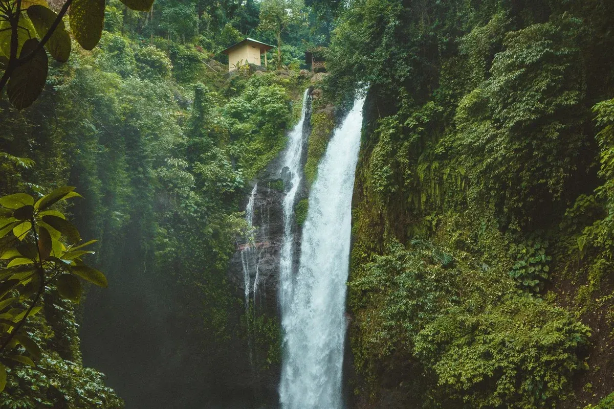 Taman & Halaman Terbuka Hijau